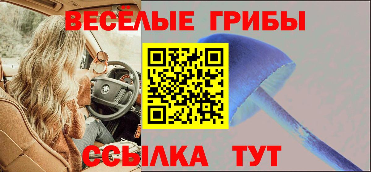 цены наркотик  Галлюциногенные грибы Psilocybe  Псилоцибиновые грибы Cubensis  Вход с VPN  Гагарин 