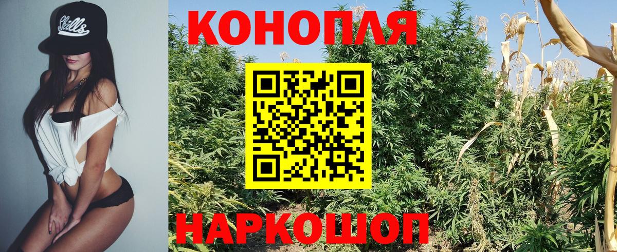 Шишки марихуана марихуана Гагарин